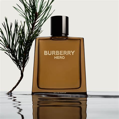 burberry for men cologne notes|burberry cologne for men cheapest.